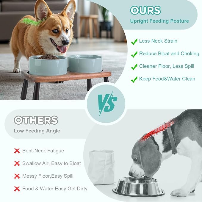 SPUNKYJUNKY Ceramic Elevated Dog Bowls Raised with Acacia Bamboo Wooden Stand, 6.1'' Dog Cat Food Water Bowls Set Non-Slip for Small Medium Sized Breed Microwave Dishwasher Safe - 28.7 OZ,Light Green