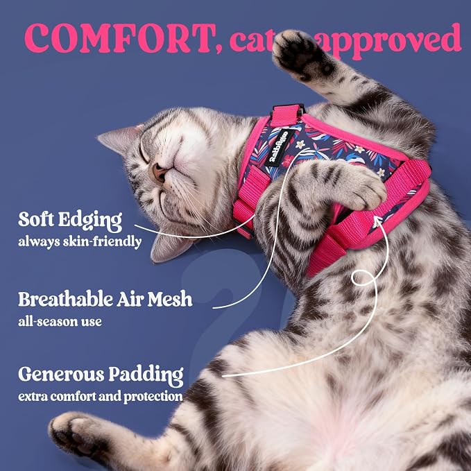 rabbitgoo Cat Harness and Leash Set, Escape Proof Vest, Coconut Fuchsia | Soft Breathable Mesh, Easy Adjustable Fit, Snap Buckles, Sturdy Clip, Reflective Strips, for Kittens & Small Cats Walks, Xxs