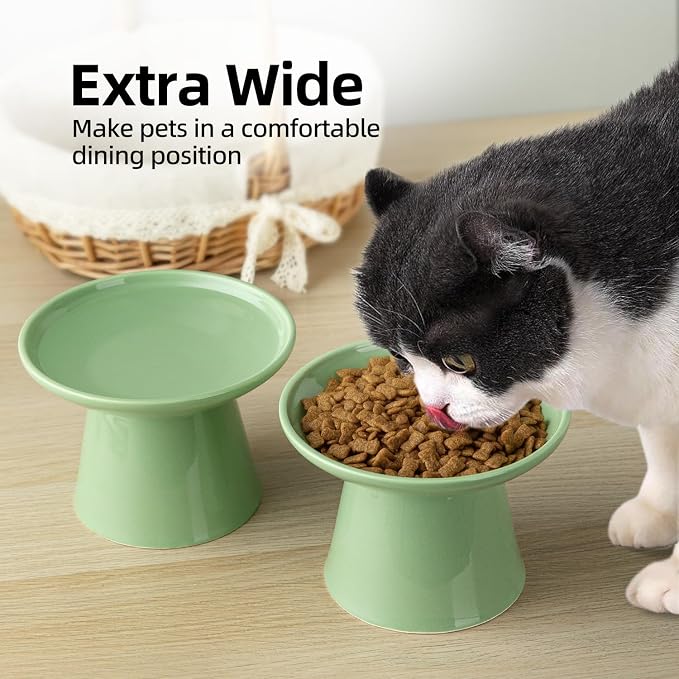 Ceramic Elevated Cat Bowls - 6.2 Inch Extra Wide Raised Cat Food and Water Bowl Set for Indoor Cats, Whisker-Friendly Ceramic Cat Dish for Elder Big Cats & Small Dogs,Green,2 Pack