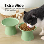 Ceramic Elevated Cat Bowls - 6.2 Inch Extra Wide Raised Cat Food and Water Bowl Set for Indoor Cats, Whisker-Friendly Ceramic Cat Dish for Elder Big Cats & Small Dogs,Green,1 Pack