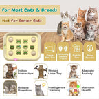 KADTC 3-in-1 Cat Puzzle Toy, Peek-and-Play Box, Track Balls for Indoor Cats | Large Size, stable board, no loose parts for safer play, longer mental stimulation, active energy burn, and slower feeding.