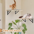 Burlywood Cat Furniture Indoor Set of 2: Wood Shelves with Scratching Pad, Climbing Shelf for Sleeping & Playing, Window Perch for Big Cats