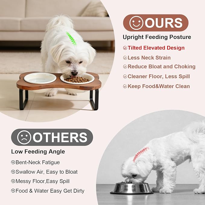 SPUNKYJUNKY Ceramic Elevated Tilted Dog Bowls Bone-Shaped Raised with 2 Height Iron Stand, 5.9'' Dog and Cat Food Water Bowls Set Non-Slip for Small Sized Breed - 13.5 OZ,Beige