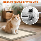 Pawtners Silicone Cat Litter Mat 34 x 22 in, Easy to Clean, Beige, 2 Pack | Non-Slip Kitty Litter Mat for Floor, Waterproof & Urine-Proof Cat Litter Mat Litter Trapping Mat, Soft on Kitty Paws