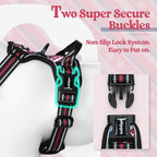 rabbitgoo Dog Harness, No Pull for Large Dogs with 2 Leash Clips, Pet Vest | No Choke with Handle, Adjustable Soft Padded, Reflective, Easy Control for Walking, Red Stripe, X-Large