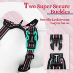 rabbitgoo Dog Harness, No Pull for Small Dogs with 2 Leash Clips, Pet Vest | No Choke with Handle, Adjustable Soft Padded, Reflective, Easy Control for Walking, Red Stripe, Small