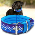 Dog Collar for Large Dogs,2 in Wide Heavy Duty,Pressure-Relief Padded, D-M | Professional Protection for Large and Giant Breeds,Handle for Control,Stainless Steel Buckle Ultra Safety,20-23 in
