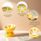 Hamiledyi Ceramic Raised Cat Bowl 5In Elevated Wide Cat Bowl for Food and Water Anti Vomiting Tilted Pet Feeder Dish for Indoor Cats and Small Dogs(Lemon)