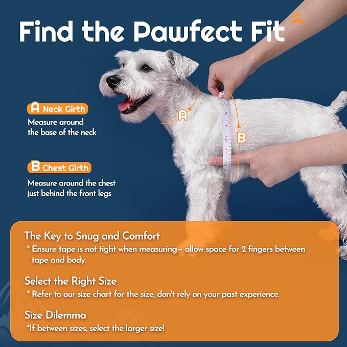 Eagloo Small Dog Harness and Leash Set, Step in Small Sized Puppy Pet Vest | Light, Soft, Breathable Air Mesh, Easy on and off with Hook & Loop, Reflective for Safe Walking, Blue, XS