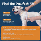 Eagloo Small Dog Harness and Leash Set, Step in Small Sized Puppy Pet Vest | Light, Soft, Breathable Air Mesh, Easy on and off with Hook & Loop, Reflective for Safe Walking, Blue, XS