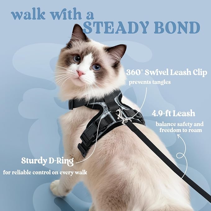rabbitgoo Cat Harness and Leash Set, Escape Proof Vest, Doodle Gray | Soft Breathable Mesh, Easy Adjustable Fit, Snap Buckles, Sturdy Clip, Reflective Strips, for Kittens & Small Cats Walks, Xxs