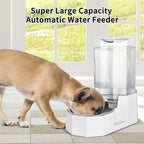 Sfozstra Dog Water Bowl Dispenser: 7L White Gravity Stainless Steel Bowl | Stable Non-Slip Base/Easy Refill/Indoor & Outdoor Use/Food-Grade Materials/Indoor & Outdoor Use