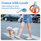 rabbitgoo Dog Harness Small Sized and Leash Set, Step-in Puppy Pet Vest | Light, Soft, Breathable Air Mesh, Easy on and Remove with Hook & Loop, Secure Reflective for Walking, Blue & Orange XXS