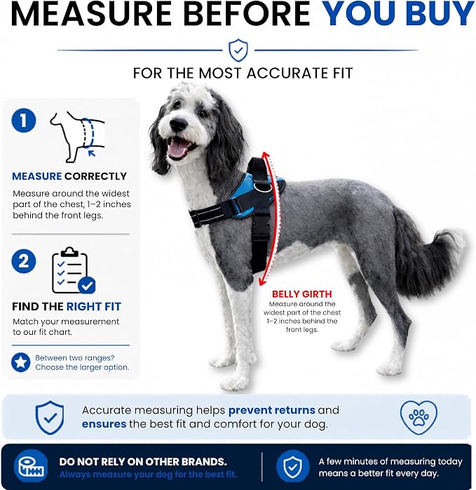 ShawnCo Essential Dog Harness, No-Pull Pet Vest with 3 Leash Clips, No Choke, Reflective, Adjustable and Padded, for Easy Walking and Training for Small, Medium and Large Dogs (Pacific Blue, S)