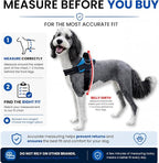 ShawnCo Essential Dog Harness, No-Pull Pet Vest with 3 Leash Clips, No Choke, Reflective, Adjustable and Padded, for Easy Walking and Training for Small, Medium and Large Dogs (Electric Blue,M)
