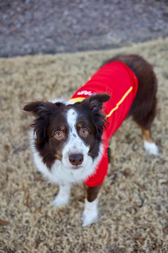 Parisian Pet Spain Dog Jersey - Breathable Mesh Puppy Football Jersey - Lightweight Stretch Sporty Dog Clothes - Summer Shirts for Large Dogs - Soccer Jersey for Dogs - Sportswear Pet Clothes