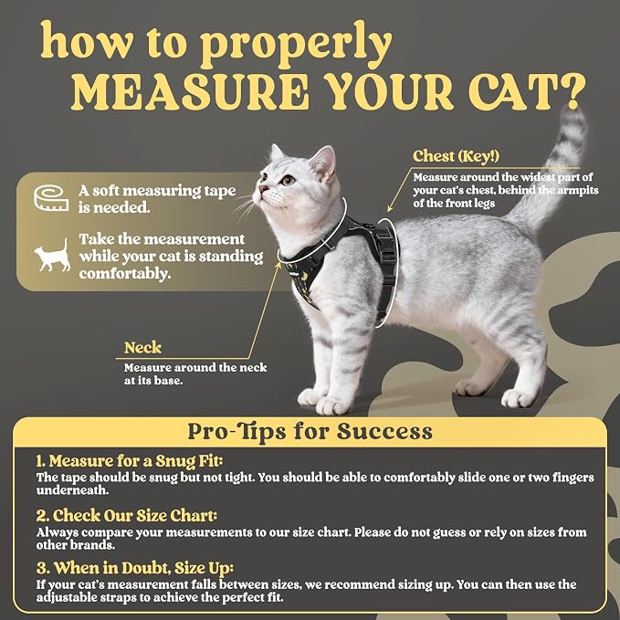 rabbitgoo Cat Harness and Leash Set, Escape Proof Vest, Lunar Prowl | Soft Breathable Mesh, Easy Adjustable Fit, Snap Buckles, Sturdy Clip, Reflective Strips, for Small & Average Cats Walks, Xs