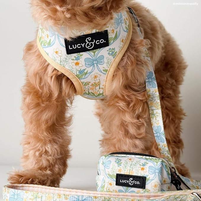 Lucy & Co. Sunshine and Daffodils Dog Leash, Durable Matching Dog Lead with Heavy Duty Hardware, Large