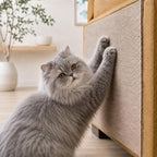 Catify Peel & Stick Cat Scratching Mat - Beige, L:78" | 78" x 15", Self-Adhesive Scratch Carpet, Furniture Protector for Couch, Sofa, Wall & Door, Indoor Kittens & Cats