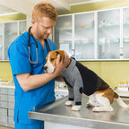 Lelepet Dog Recovery Suit for Front Legs Dog Sleeve to Stop Licking Black S | Elbow Protector for Leg Injuries Shoulder Wounds After Surgery Male Female,Zippered Long-Sleeved Shirt Cone Alternative S-3XL