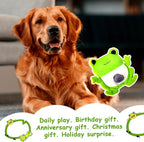 Hollypet Squeaky Hide and Seek Dog Toys for Small and Medium Dogs, Frog | Interactive Plush Stuffed Dog Squeak Toys for Small Medium Sized Dogs and Non-Aggressive Chewers, Puppy Teeth Clean Chew Toys