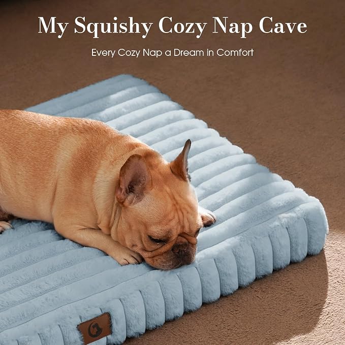 Medium Dog Bed Orthopedic Foam with Waterproof Lining | Egg crate foam for joint support. Soft plush surface. Non-slip bottom. Removable & machine washable cover. OEKO-TEX certified