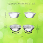 Set of 2 Stainless Steel Dog Bowls - 40oz Pet Bowls with Decorative Dog Food Stand - Metal Food and Water Dishes for Large Pets - Puppy Essentials by PETMAKER (Silver/Black)