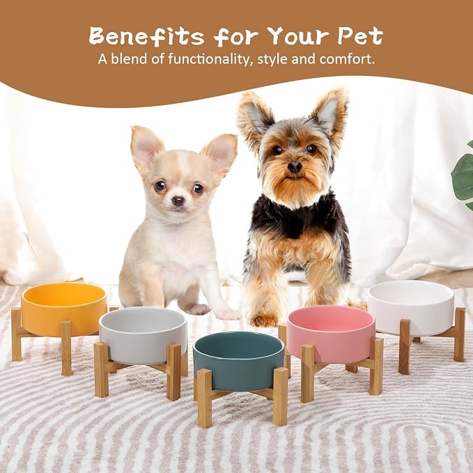 Elevated Ceramic Cat Bowl - Cat Food Bowl with Bamboo Stand - Raised Dog Dish for Puppies - Anti Vomiting, Stress Free - 13.5 oz / 400 ml - Pink