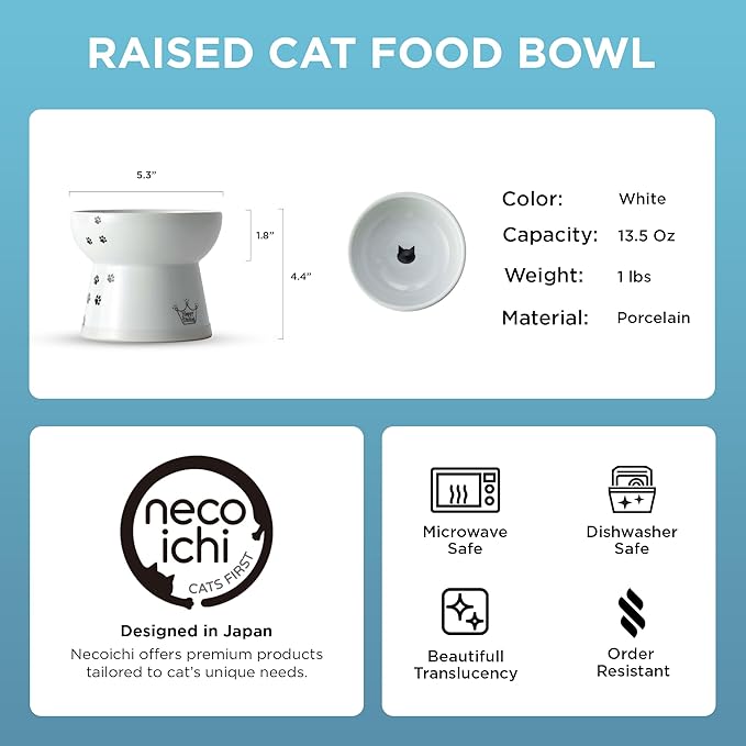 Necoichi Ceramic Raised Cat Food Bowl, Whisker-Friendly (Cats, Large Flat)