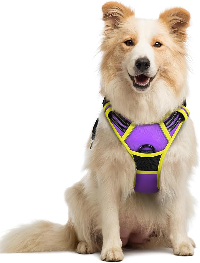 rabbitgoo Dog Harness, No Pull Medium Sized with 2 Leash Clips, Pet Vest | No Choke with Handle, Adjustable Soft Padded, Reflective, Easy Control for Walking, Purple & Yellow, Medium