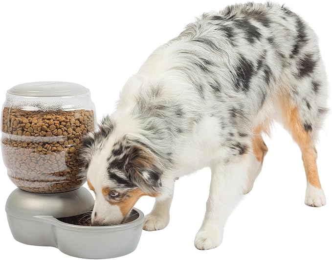 Petmate Replendish Pearl White 10 lb Dog Cat Feeder,Grey, Made in USA