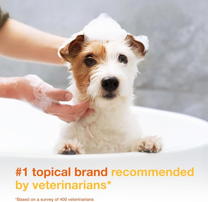 Douxo S3 PYO Chlorhexidine Shampoo For Dogs, Medicated Shampoo Antibacterial & Antiseptic, Yeast Infection Treatment for Dogs & Cats, Clinically Proven, 16.9 fl oz | Medicated Shampoo Antibacterial & Antiseptic, Yeast Infection Treatment for Dogs & Cat...