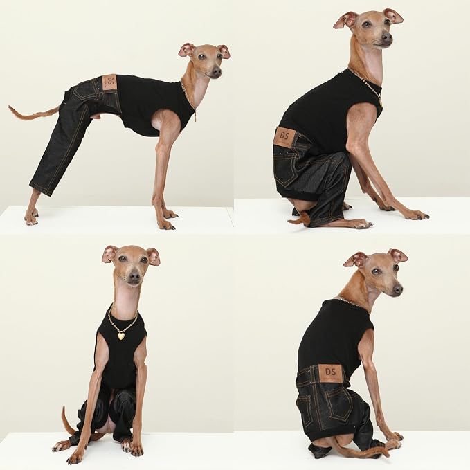 D Doggy Star Italian Greyhound Clothes Sleeveless Jeans Onesie Outfit Whippet for Dog Coat (L,Black Jean)
