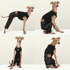 D Doggy Star Italian Greyhound Clothes Sleeveless Jeans Onesie Outfit Whippet for Dog Coat (3XL,Black Jean)