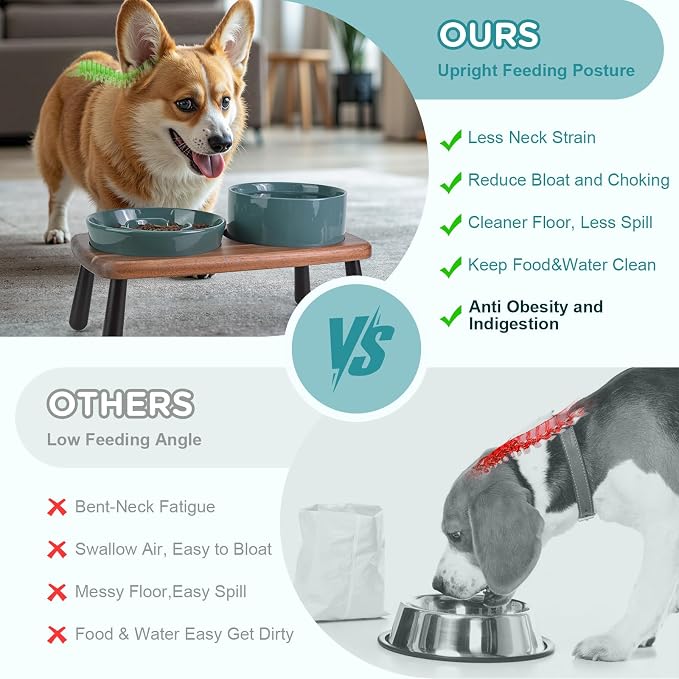 SPUNKYJUNKY Ceramic Elevated Dog Bowls with Slow Feeder Raised with Acacia Bamboo Wooden Stand, 6.1'' Dog and Cat Food Water Bowls Set Non-Slip for Small Medium Sized Breed - Dark Green