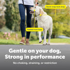 PetSafe Gentle Leader No Pull Dog Headcollar, Fawn, Medium | Veterinary Behaviorist-Designed No-Pull Headcollar Redirects Pulling Instinct, Padded Neoprene Nose Loop, Quick-Snap Fit