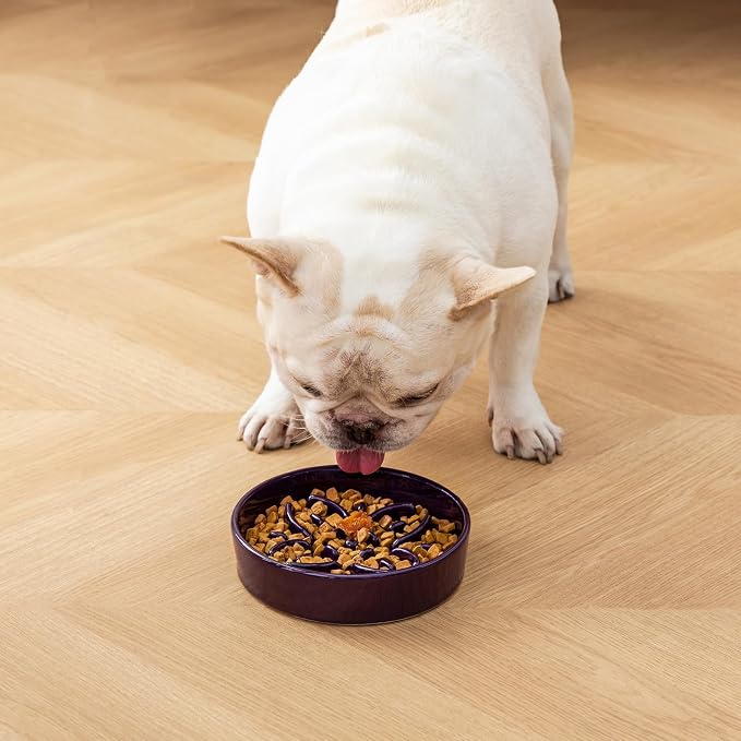 vancasso Ceramic Slow Feeder Dog Bowls, Puzzle Dog Food Bowls with Floral Maze, Anti -Slip Pet Food Dish for Small Breed, 0.6 Cups, Purple