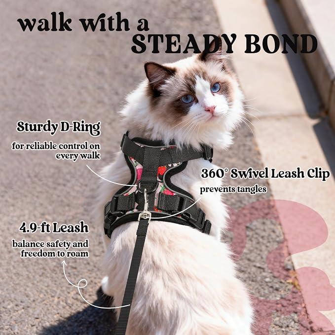 rabbitgoo Cat Harness and Leash Set, Escape Proof Vest, Berry Pounce | Soft Breathable Mesh, Easy Adjustable Fit, Snap Buckles, Sturdy Clip, Reflective Strips, for Medium to Large Cats Walks, M