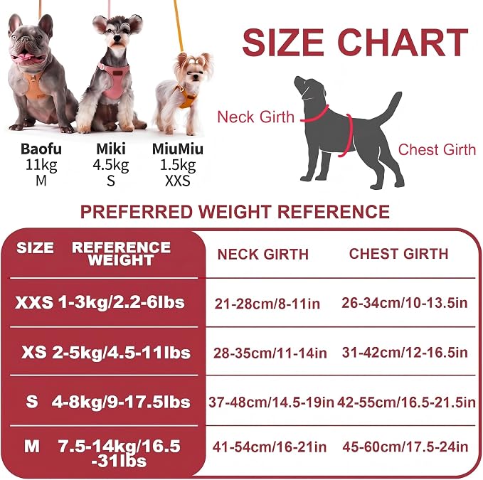 Puppytie XXS Puppy Harness and Leash Set, Red Hawthorn, XXS (2.2–6 lbs) | Puppy Harness for Small Dogs, Teacup and Yorkie Harness, Soft Lightweight and Adjustable, XXS Dog Harness for Daily Walks