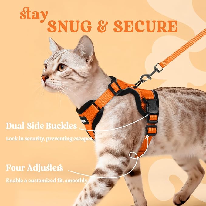 rabbitgoo Cat Harness and Leash Set, Escape Proof Vest, Orange | Soft Breathable Mesh, Easy Adjustable Fit, Snap Buckles, Sturdy Clip, Reflective Strips, for Average Cats Walks, S