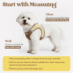 rabbitgoo Dog Harness Small Sized and Leash Set, Step-in Puppy Pet Vest | Light, Soft, Breathable Air Mesh, Easy on and Remove with Hook & Loop, Secure Reflective for Walking, Brown & Beige XXS