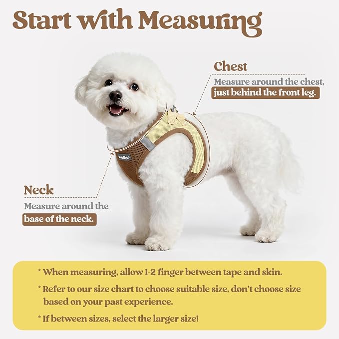 rabbitgoo Dog Harness Medium Sized and Leash Set, Step-in Puppy Pet Vest | Light, Soft, Breathable Air Mesh, Easy on and Remove with Hook & Loop, Secure Reflective for Walking, Brown & Beige L