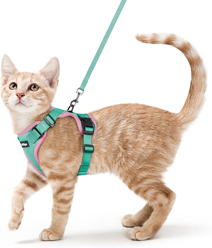 rabbitgoo Cat Harness and Leash Set, Escape Proof Vest, Green & Pink | Soft Breathable Mesh, Easy Adjustable Fit, Snap Buckles, Sturdy Clip, Reflective Strips, for Average Cats Walks, S