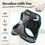 rabbitgoo Dog Harness Small Sized and Leash Set, Step-in Puppy Pet Vest | Light, Soft, Breathable Air Mesh, Easy on and Remove with Hook & Loop, Secure Reflective for Walking, Black Zigzag M