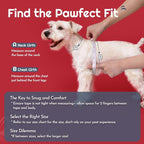 Eagloo Small Dog Harness and Leash Set, Step in Extra Small Puppy Pet Vest | Light, Soft, Breathable Air Mesh, Easy on and off with Hook & Loop, Reflective for Safe Walking, Red, XXS