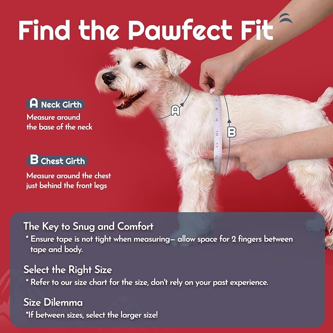 Eagloo Small Dog Harness and Leash Set, Step in Extra Small Puppy Pet Vest | Light, Soft, Breathable Air Mesh, Easy on and off with Hook & Loop, Reflective for Safe Walking, Red, XXS