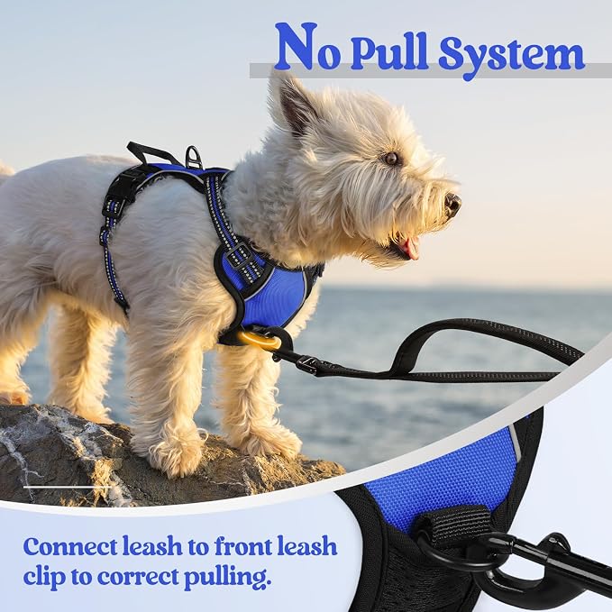 rabbitgoo Dog Harness, No Pull for Small Dogs with 2 Leash Clips, Pet Vest | No Choke with Handle, Adjustable Soft Padded, Reflective, Easy Control for Walking, Dazzling Blue, X-Small
