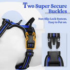 rabbitgoo Dog Harness, No Pull for Large Dogs with 2 Leash Clips, Pet Vest | No Choke with Handle, Adjustable Soft Padded, Reflective, Easy Control for Walking, Dazzling Blue, X-Large