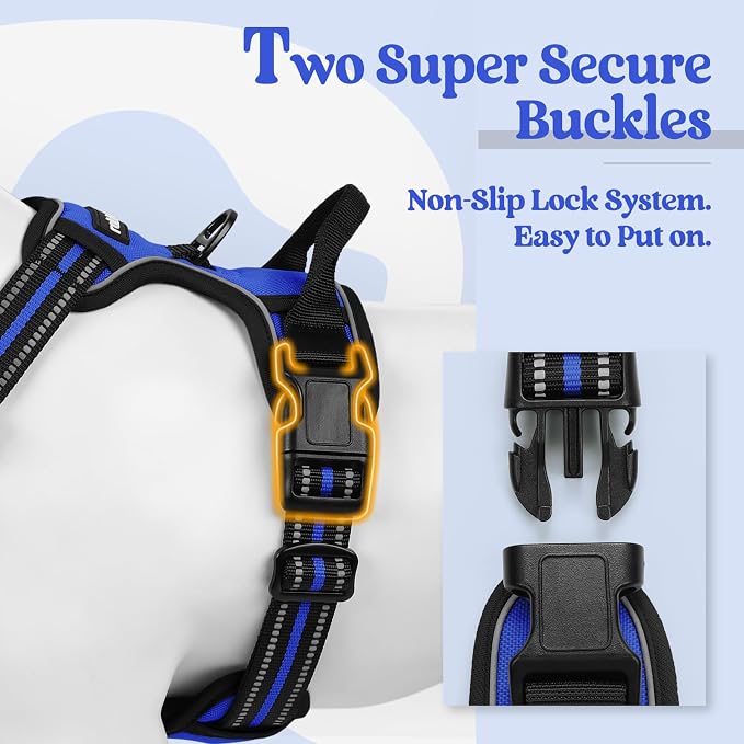 rabbitgoo Dog Harness, No Pull for Large Dogs with 2 Leash Clips, Pet Vest | No Choke with Handle, Adjustable Soft Padded, Reflective, Easy Control for Walking, Dazzling Blue, Large