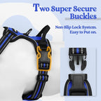 rabbitgoo Dog Harness, No Pull for Large Dogs with 2 Leash Clips, Pet Vest | No Choke with Handle, Adjustable Soft Padded, Reflective, Easy Control for Walking, Dazzling Blue, Large